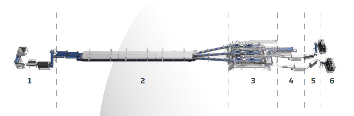 Schéma de la ligne de traitement des maquereaux