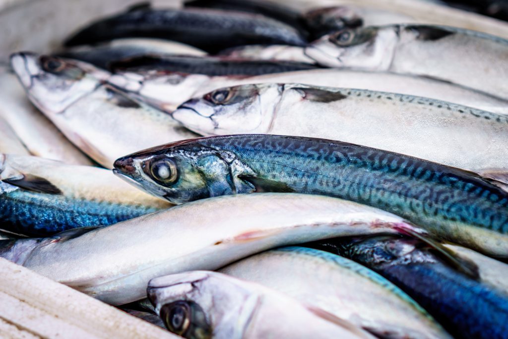 Solutions pour le traitement du poisson et des fruits de mer